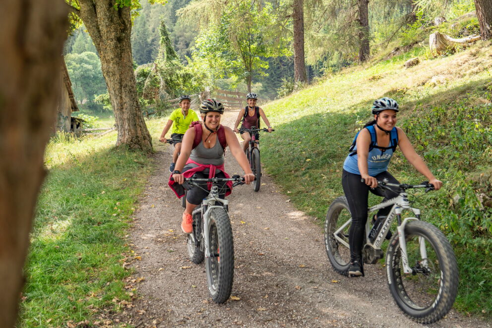 Gruppe Radfahrer auf Waldweg, umgeben von Bäumen und natürlicher Landschaft.