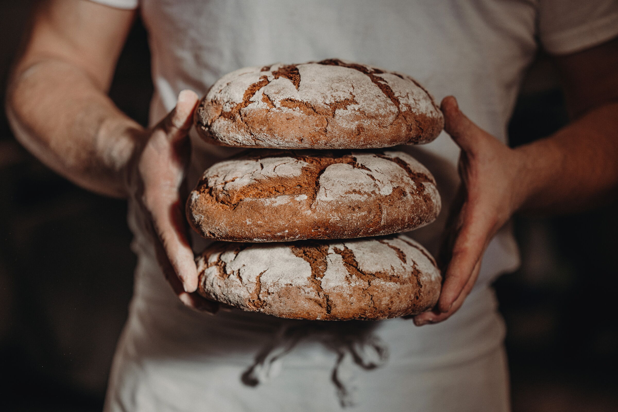 Three loaves of fresh, crusty bread in the hands of a baker.