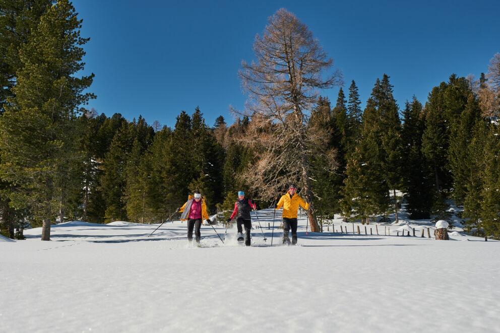 Drei Personen wandern mit Schneeschuhen durch verschneiten Wald unter blauem Himmel.