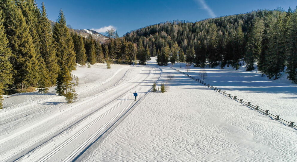 Langläufer auf verschneiter Waldstrecke unter strahlend blauem Himmel