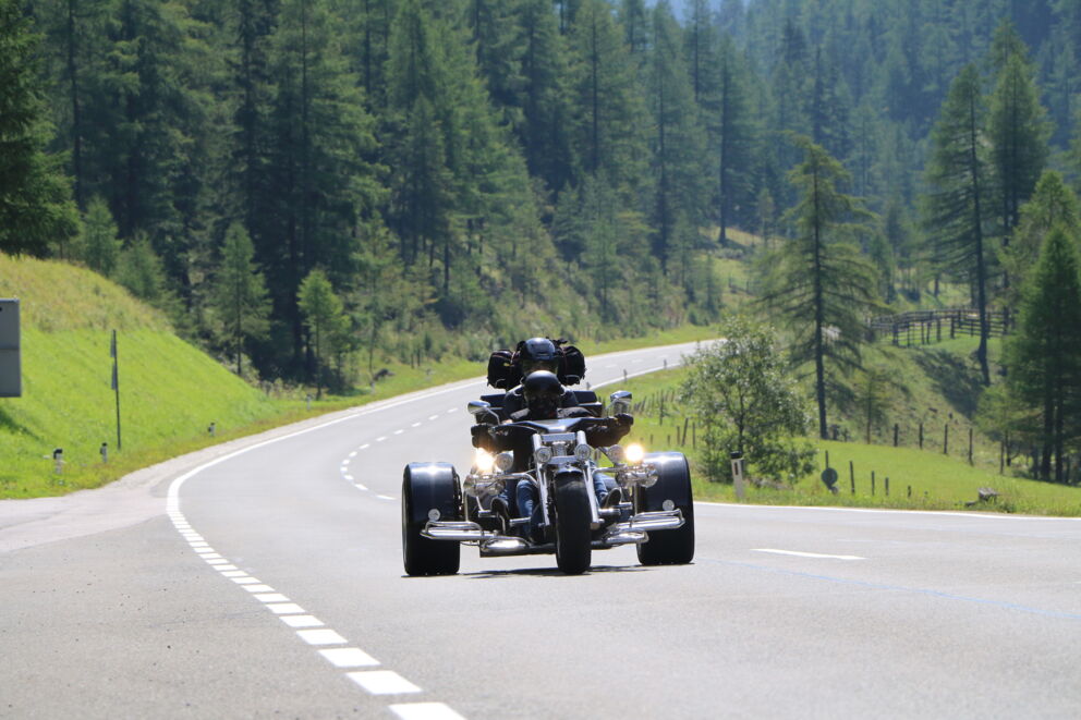 Motorradfahrer auf gewundener Bergstraße durch dichten, grünen Wald bei sonnigem Wetter.