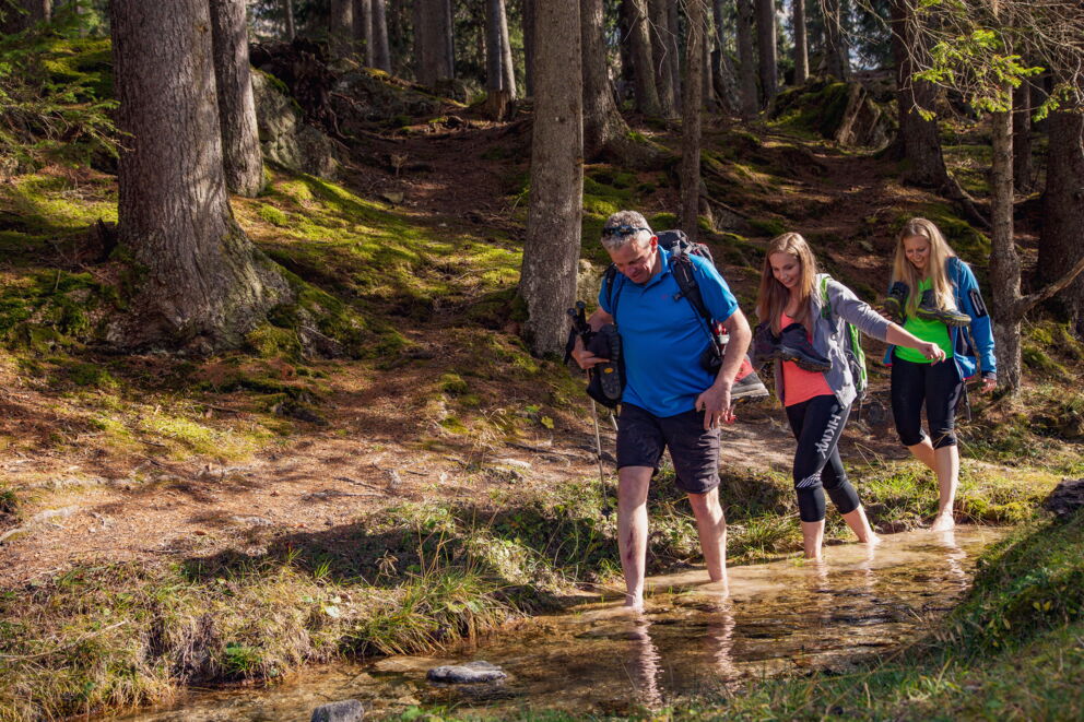 Drei Personen wandern barfuß durch einen Wald und genießen die Natur.