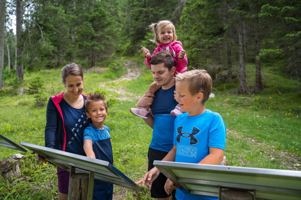 Familie genießt Zeit in der Natur, fröhlich und entspannt auf einem Waldweg.