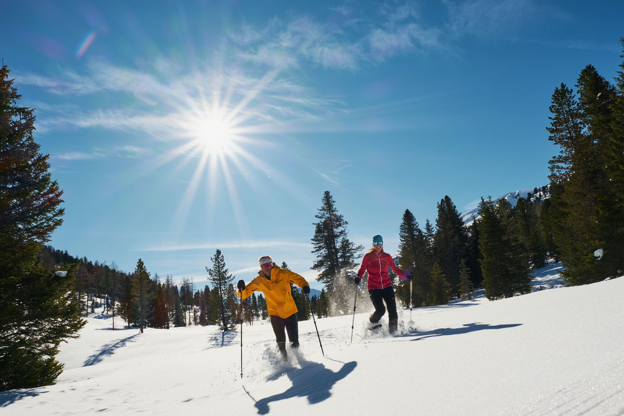 Zwei Personen beim Langlaufen im Sonnenschein auf schneebedeckten Wegen, umgeben von Bäumen.