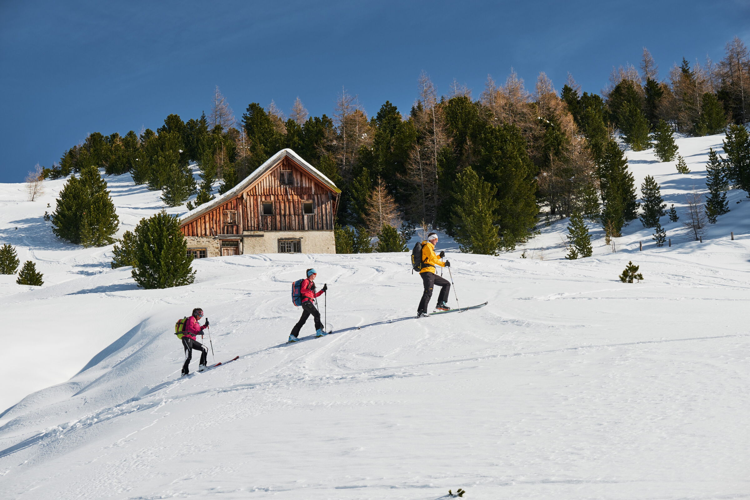 Drei Personen wandern im Schnee vor einer rustikalen Berghütte unter klarem Himmel.