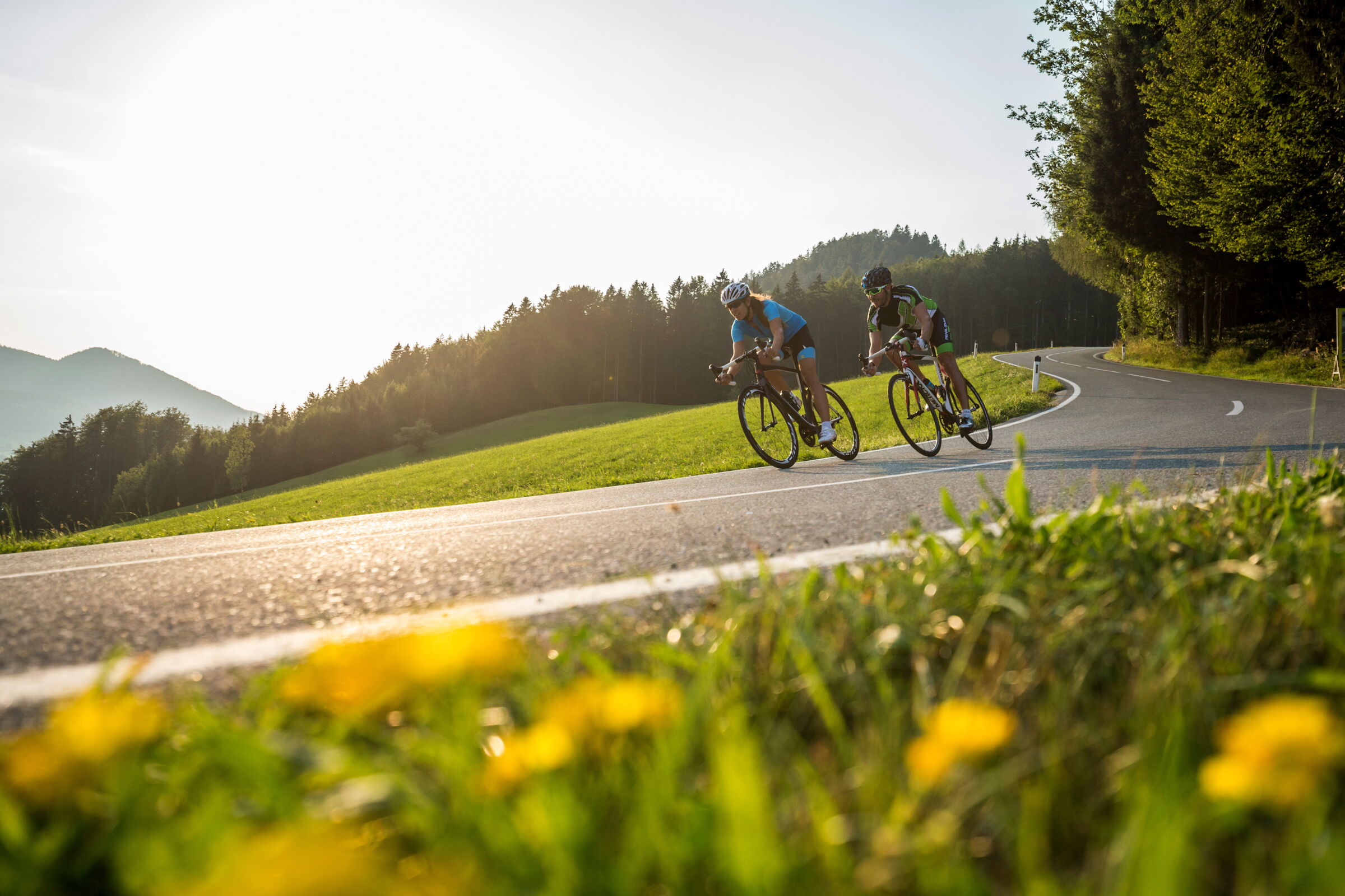 Zwei Radfahrer auf kurviger Landstraße bei Sonnenuntergang, umgeben von Wiesen und Wald.
