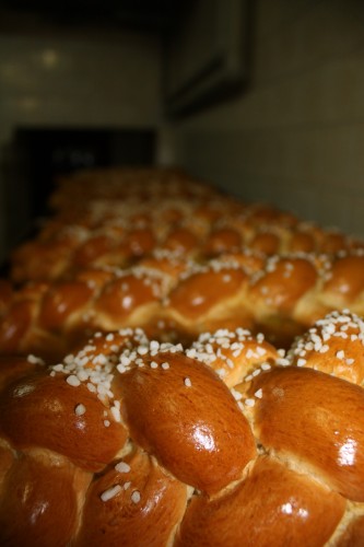 grossaufnahme