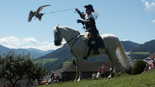 Die hohe Kunst der Falknerei