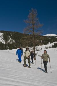 Schneeschuhwandern