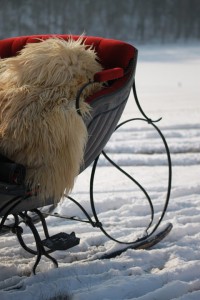 Warm eingepackt im Pferdeschlitten