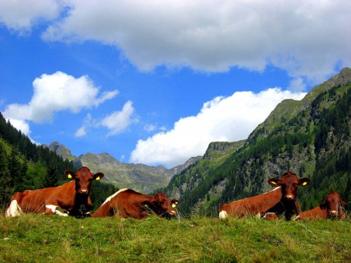 Die Urlaubsregion Lungau im Sommer
