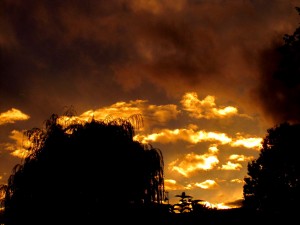 1-IMG_0014