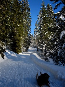 1-IMG_0030