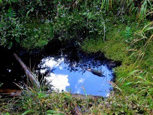 1-IMG_0053