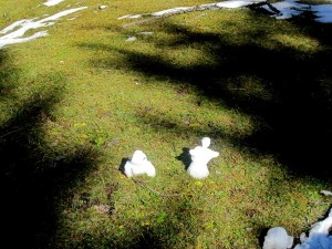 1-IMG_0138