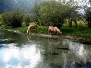 Erholung im Sommer im Lungau
