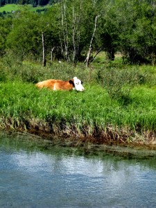 Sommerurlaub im Lungau