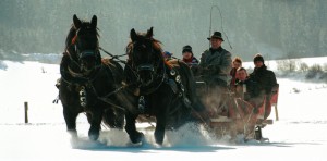 Mit dem Schlitten durch die Winterlandschaft